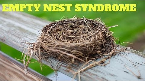 Empty Nest Syndrome  Strategies for a Fulfilling Transition