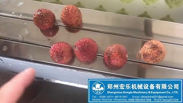 Lychee Seed Removing Machine+8615238610918