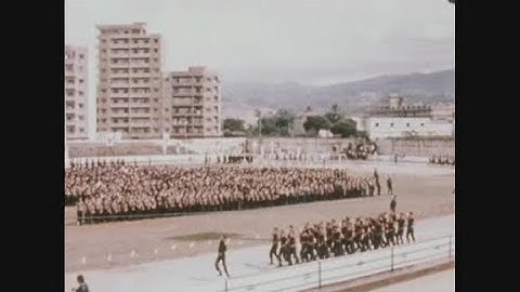 News Item (a3ba8610-48ba-99cd-4dd3-2bd6c162c057)