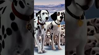 Pongo And Perdita Are Leading Their Puppies To Safety