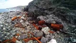Georuta de las Playas Negras, Teixidelo