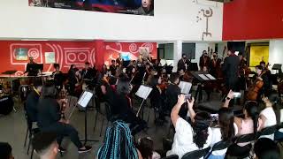 TAPIPA...ORQUESTA REGIONAL DEL ESTADO LA GUAIRA ..CONCIERTO XXXVI.ANIVERSARIO