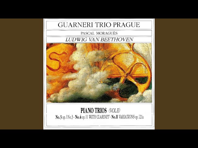 Brahms - Trio avec piano n°3: 1er mvt "allegro energico" : Trio Guarneri