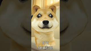 open the noor #memes #helpmemakethismakesense #funny #doge #dogecoin #openthenoor