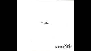 Video thumbnail of "13. Zabriskie Point - L'art et le cochon"