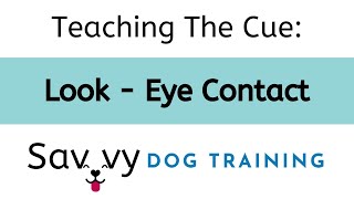 Teaching The Cue: Look