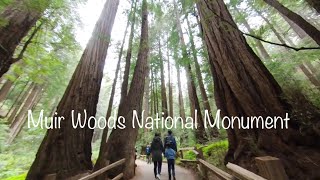 MUIR WOODS NATIONAL MONUMENTCalifornia (May 23, 2023)