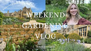 Creating a Rose Trellis & Planting Dahlias | Dora's Allotment | Gardening Vlog #5