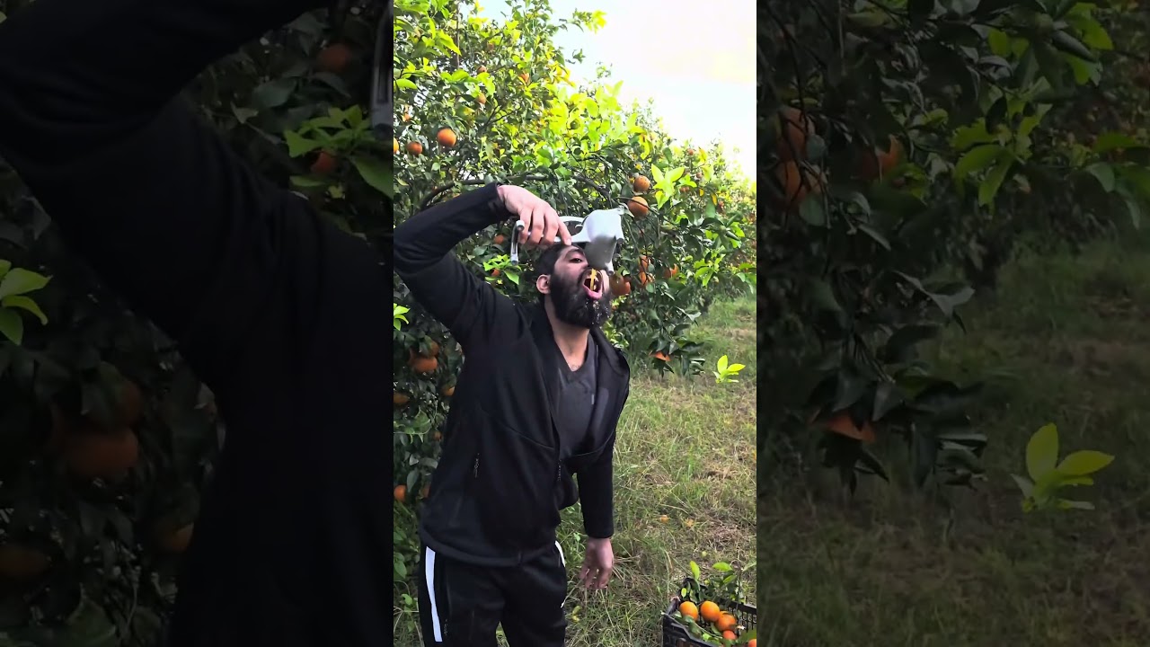 Say Mashallah Red Malta Orange 