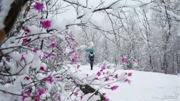 سورة المعارج بصوت الشيخ عبدالرحمن السديس Surah Al-Ma'arij by Abdul Rahman Al-Sudais