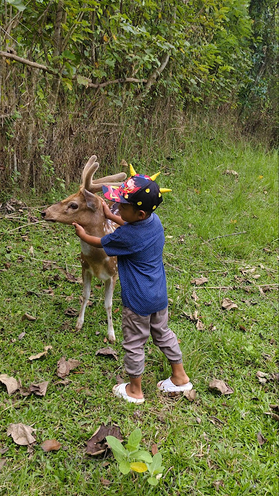 I managed to catch a deer 😱