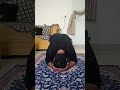 #yogateacher #seniorcitizens #desibaatein #smartcitychhainsa #indian #bharat #viralreel