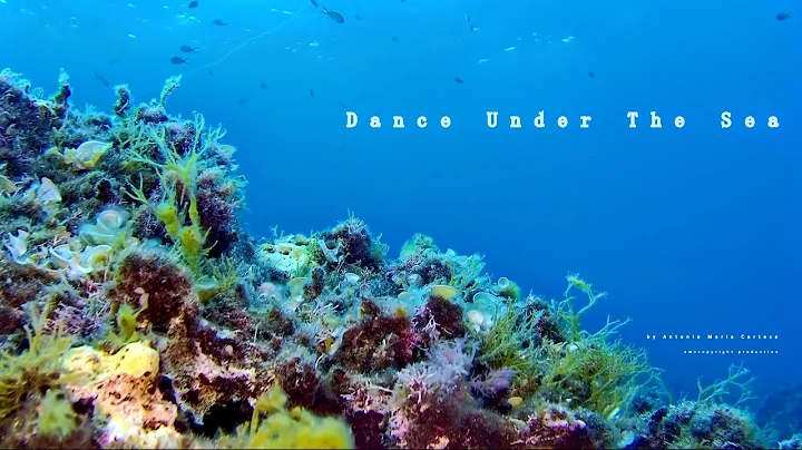Trailer - Dance Under The Sea - by Antonio Maria C...