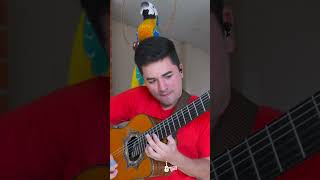 requinto ingratitud requintoecuatoriano noemorales músicaecuatoriana bryanromero viralshorts