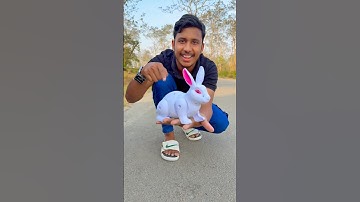 2 RC Snake 🐍 And 1 Rebbit 😀