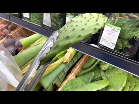 Video: Memasak Salad Kaktus Mekar