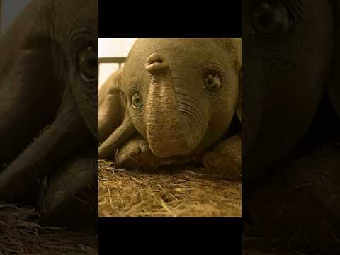 🎬 Dumbo (2019) – The First Flight! 🐘✨ Feather, Sneeze… and Lift-Off! 😮