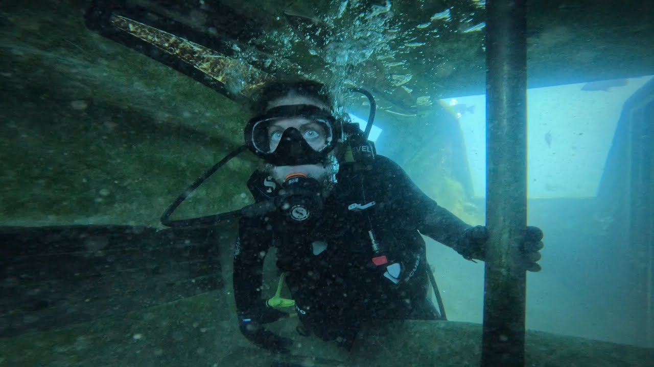 VORTEX SPRING. DIVE #1. 15 NOVEMBER 2025.