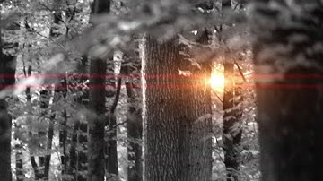 Dieter Kleber - Yamaha PSR-S950 - Autumn Part II - Movie - Epic