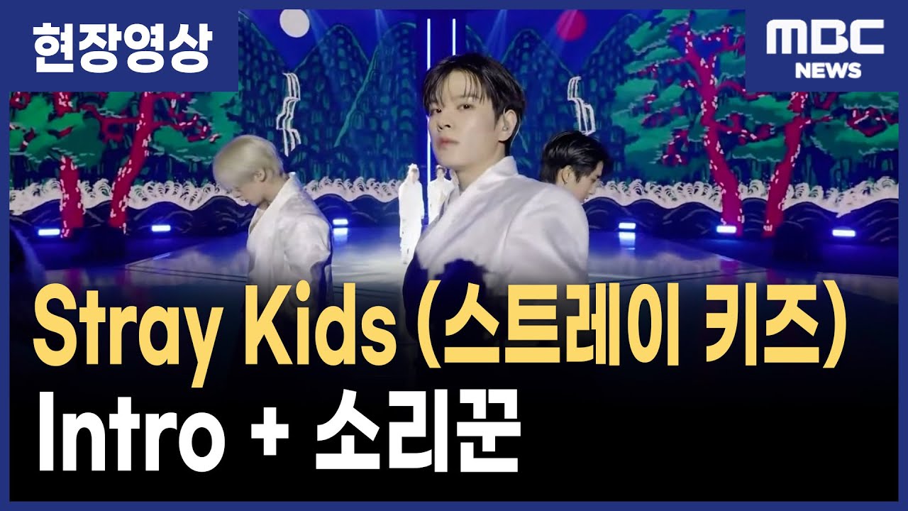 Stray Kids (스트레이 키즈) - Intro + 소리꾼 / 대중문화예술교류위원회 출범 축하 공연