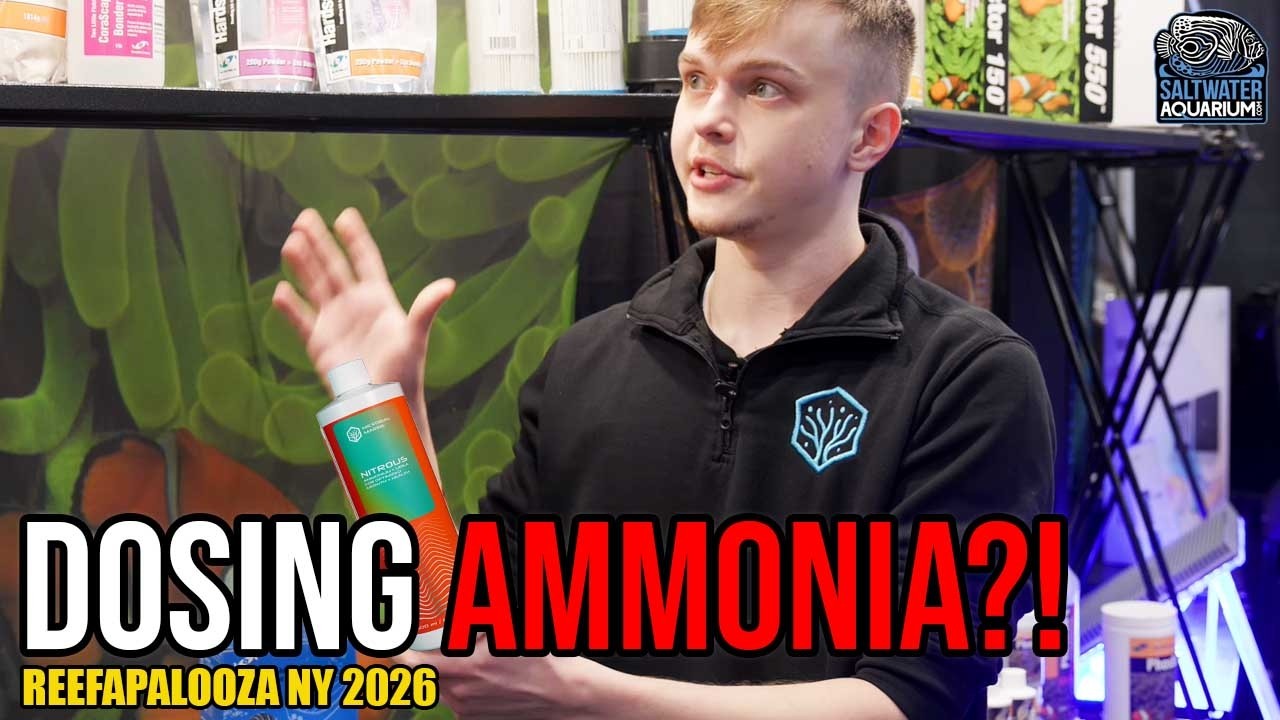 Why You Should Be Dosing Ammonia in Your Reef Tank! (Coral Health Secrets) | Reefapalooza NY 2026