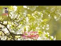 モーニング・ラブ / Ikue Sakakibara