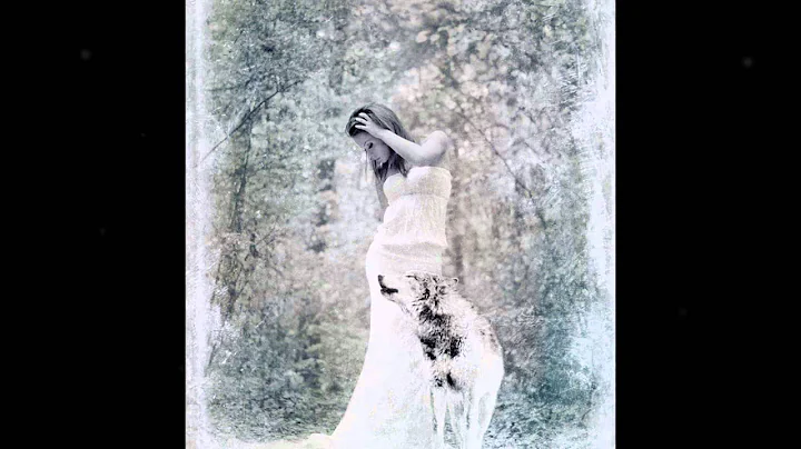 &  - Wolf