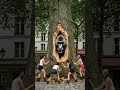 Rescue animal from large log #animal #animals #funny #short #shorts #animales #wildlife #animalfunny