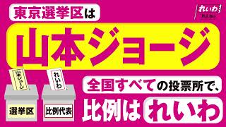 れいわ新選組 公式チャンネルの配信のサムネイル画像
