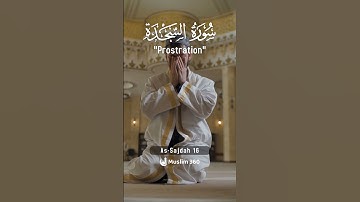 Surah As-Sajdah (Prostration) 16 | Urdu | Hindi Audio Translation |  سورة السجدة