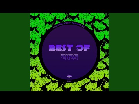 Aminga - Searching