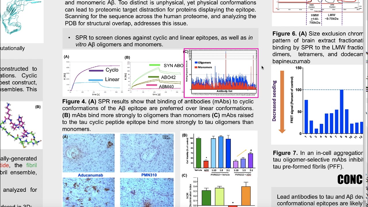 Epitope prediction for oligomer selective antibodies in tau and Aβ