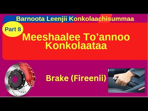 Marsaa 8 Ffaa Barnoota Leenjii Konkolaachisummaa Qaamolee To Annoo Konkolaataa