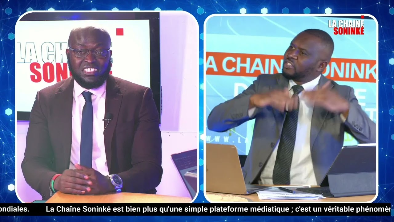 SÉNÉGAL 2050 : LE PROJET DE DIOMAYE ET OUSMANE SONKO PORTÉ PAR PASTEF FRANCE - MAODO BA N° #4
