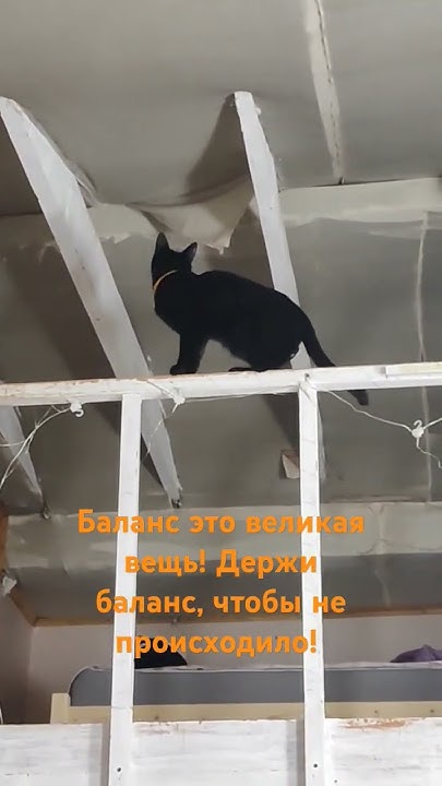 Баланс это великая вещь! Держи баланс, чтобы не происходило! - YouTube