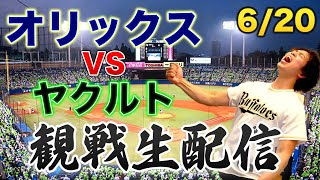 【交流戦】6/20 オリックスバファローズVS東京ヤクルトスワローズ　観戦生配信