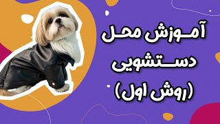 آموزش محل دستشویی سگ ( روش اول  محدود ) چطوری به سگم جای دستشوییشو یاد بدم؟