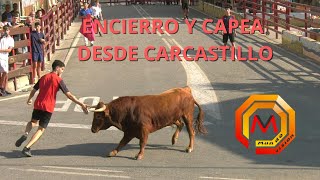Directo - Encierro y Capea - Fiestas de Carcastillo día 05 de agosto de 2025.