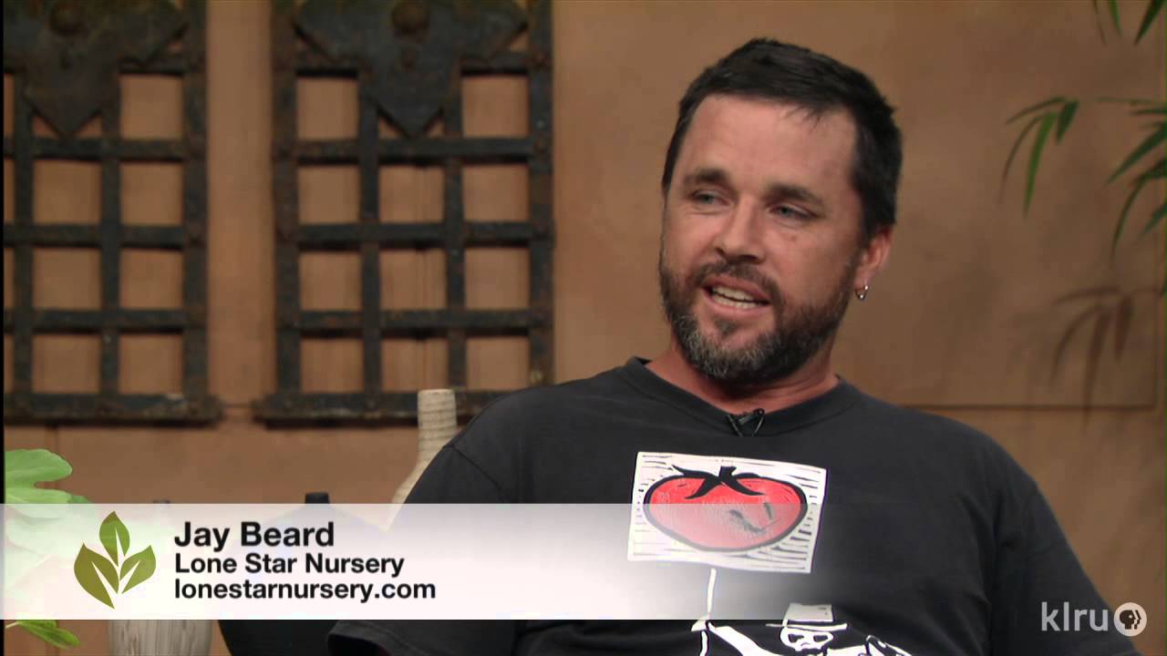 New horizon edible plants | Lone Star Nursery |Central Texas Gardener