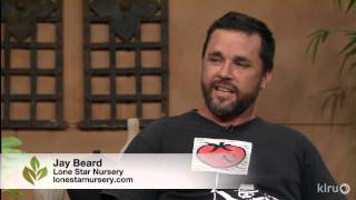 New horizon edible plants | Lone Star Nursery |Central Texas Gardener