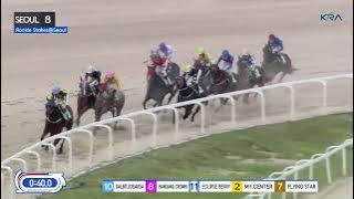 (Seoul) 2023.08.27 R8 Class Open (1200M) Special Weight A - Rookie Stakes at Seoul