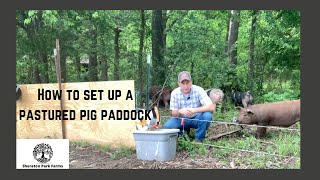 Getting Started With Pastured Pork  How To Set Up A Pastured Pig Paddock