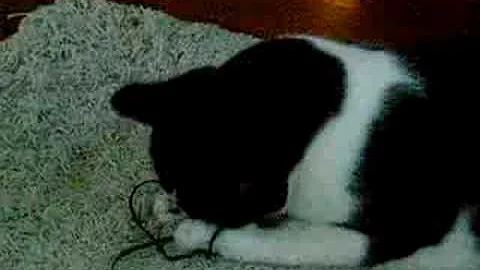 Sybert and his precious string