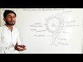 Sexual reproduction in flowering plants lec.04
