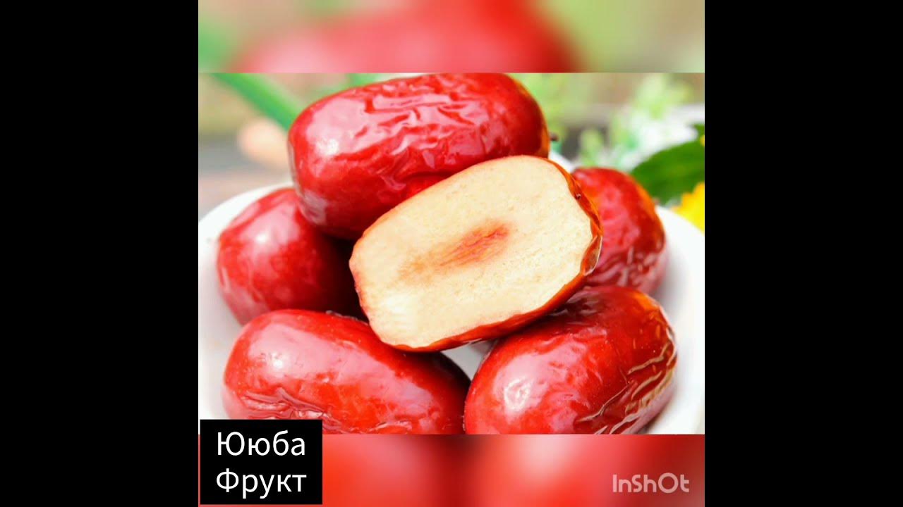 Фрукты, овощи, ягоды на букву Ю - YouTube