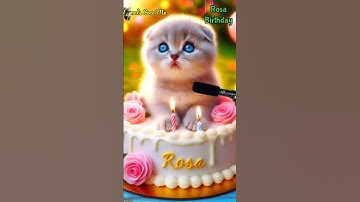 Thumbnail of ROSA BIRTHDAY | HAPPY BIRTHDAY SONG WITH NAMES | Adorable Cute Cat 😺 #cat #cute #happybirthday