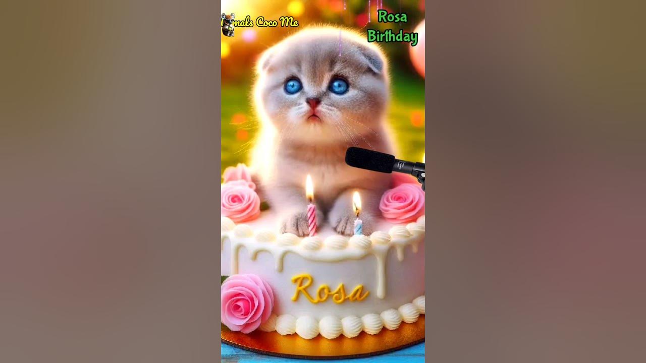ROSA BIRTHDAY | HAPPY BIRTHDAY SONG WITH NAMES | Adorable Cute Cat πΊ #cat #cute #happybirthday ROSA BIRTHDAY | HAPPY BIRTHDAY SONG WITH NAMES | Adorable Cute Cat πΊ #cat #cute #happybirthday