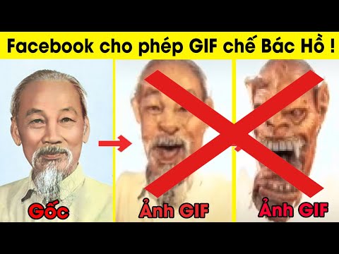 Video: Mối quan hệ của mèo và chó, được kể trong GIF