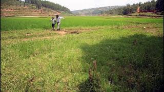 MANI Martin - AKAGEZI KA MUSHOROZA