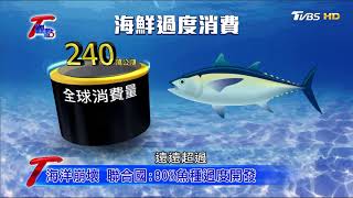 台灣號稱漁業強國 海鮮7成靠進口 T觀點 20171230 (3/4)